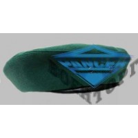 Бере приладове сукно зелений