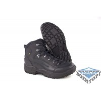 Ботинки Lowa Renegade GTX MID TF (муж.)