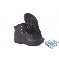 Черевики Lowa Renegade GTX MID TF (чол.)