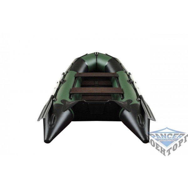 Моторная лодка с плоским дном AQUASTAR CAIMAN C-310 - 2589781