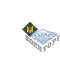 Нашивка на головний убір з тризубом темна