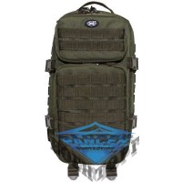 Рюкзак US backpack , Assault I , olive