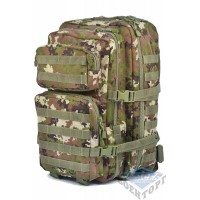 Рюкзак штурмовий великий 36л (51х29х28) камуфляж vegetato