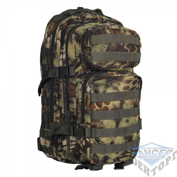 Рюкзак штурмовий малий 20л (42х20х25) камуфляж Kryptec WOOD - 2591673