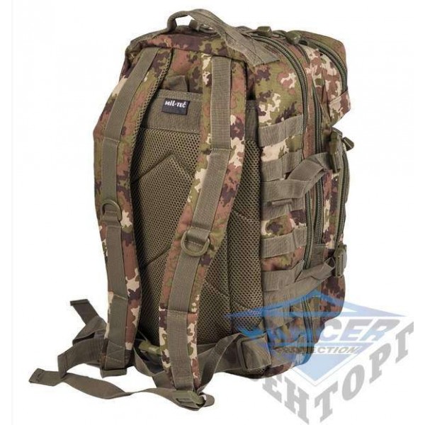 Рюкзак штурмовий малий 20л (42х20х25) камуфляж vegetato - 2591685 Рюкзак штурмовий малий 20л (42х20х25) камуфляж vegetato - 2591685