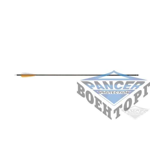 Стріла - CA30 (карбон) - 2591884