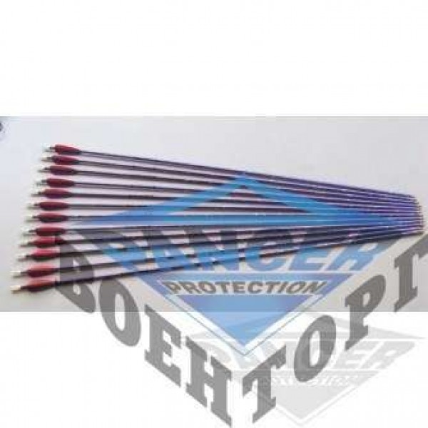Стріла алюмінієва EASTON Shafts Jazz Purple 1616 - 2591890