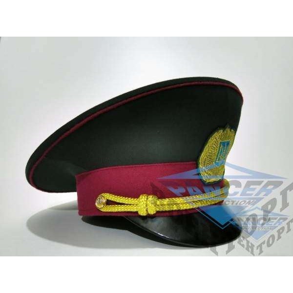 Кашкет ДПС (ГДИН) арт.077, полин - 2592589