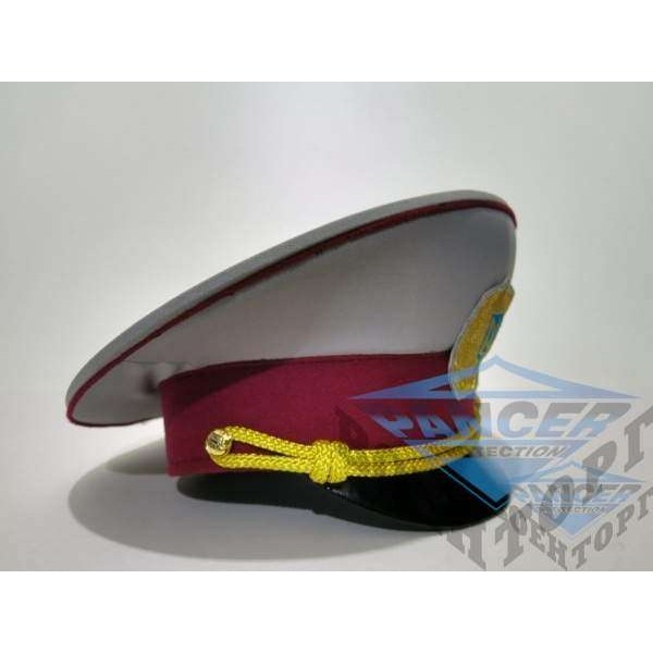 Фуражка ДПС (ГДИН) габардин, серая - 2592590