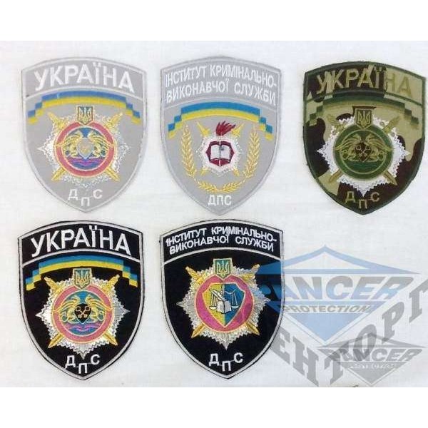 Шеврон ДПС - 2593211