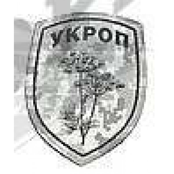 Шеврон Кріп сірий - 2593257