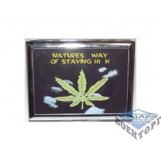 Портсигар PR7-74