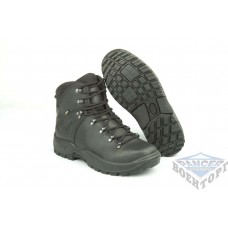 Ботинки LOWA RONAN GTX MID TF черный