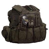 Бронежилет Flyye RAV Vest with Pouch Set Ranger Green