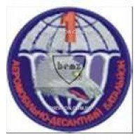 Шеврон 1 батальйон 25 ВДБ вовк