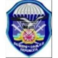 Шеврон 28 ОНАЕМБ