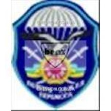 Шеврон 28 ОНАЕМБ