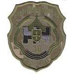 Шеврон 30 танкова дивізія Новгород-Рівненська Волинськая