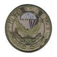 Шеврон 80 бригада ніхто крім нас український піксель