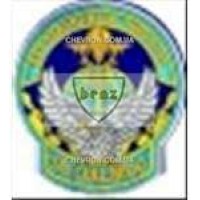 Шеврон 95 ОАЕМБР