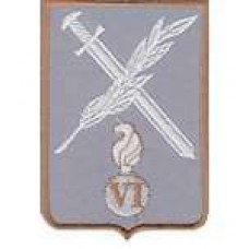Шеврон VI батальйон