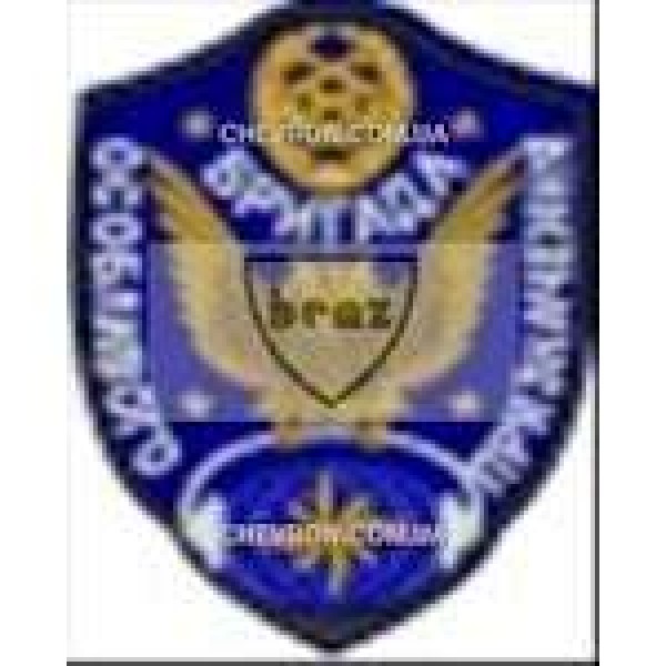 Шеврон Бригада особливого призначення сова - 3442103