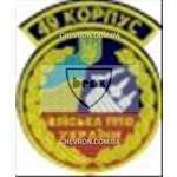 Шеврон Війська ППО 49 корпус (старий) - 3442114