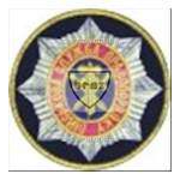 Шеврон Військова служба правопорядку - 3442126