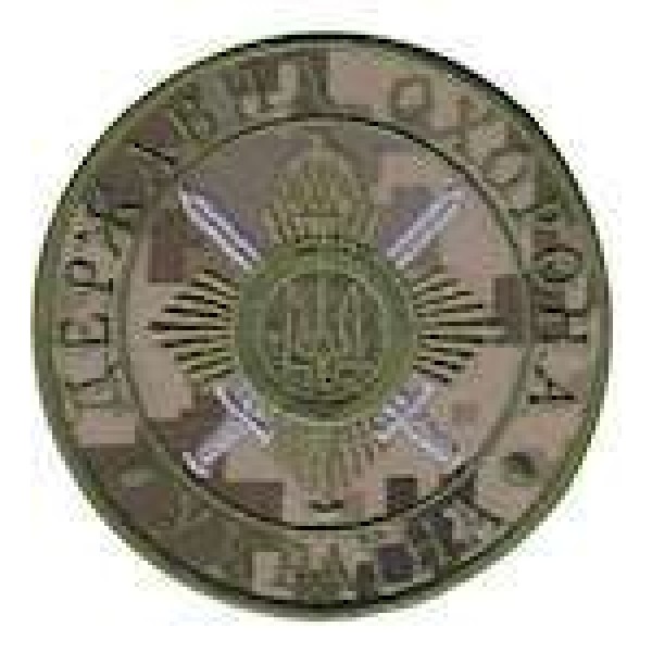 Шеврон Державна охорона - 3442204