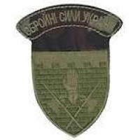 Шеврон Збройні сили України (рукавичка)