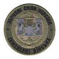Шеврон Інженерні війська ЗСУ