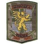 Шеврон Морська піхота (грифон)