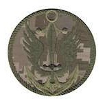 Шеврон Морська піхота якір коло