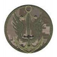 Шеврон Морська піхота якір коло