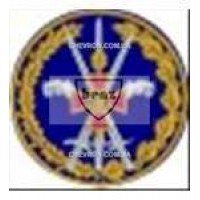 Шеврон Объединенное оперативное командование