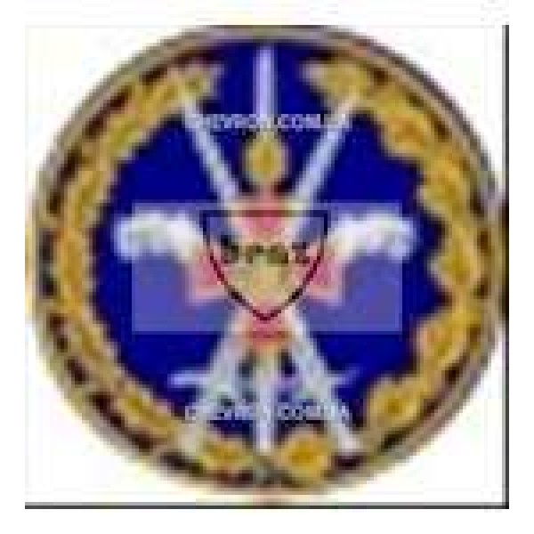 Шеврон Об'єднане оперативне командування - 3442263