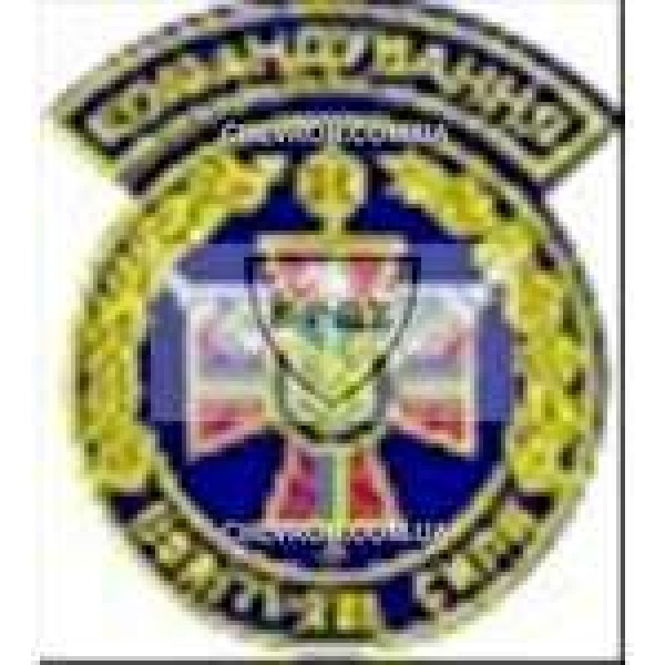 Шеврон Повітряні сили Командування - 3442318