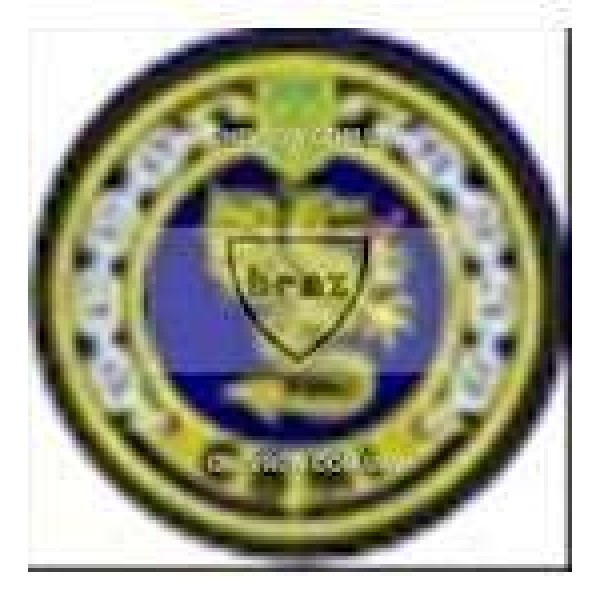 Шеврон СВМІ факультет корабельної енергетики - 3442336