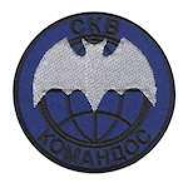 Шеврон СКВ командос - 3442339