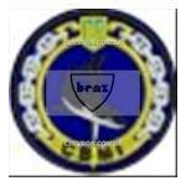 Шеврон СВМІ факультет озброєння - 3442344