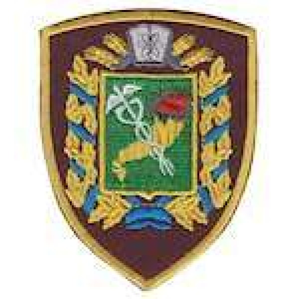 Шеврон Козаки Харківська область - 3442378