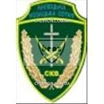 Шеврон Ліпецька козацька сотня