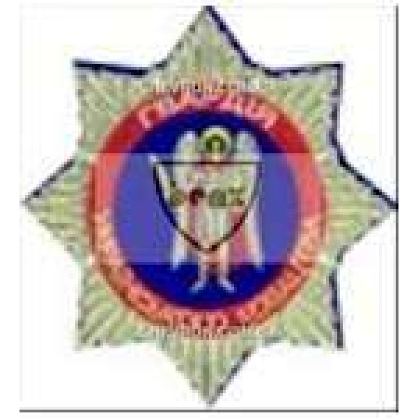 Шеврон Гвардія українського козацтва - 3442399