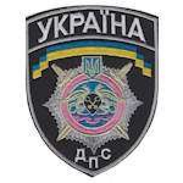 Шеврон ДПС - 3442434