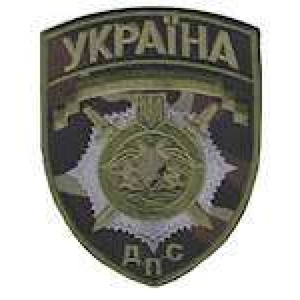 Шеврон ДПС камуфляж - 3442435