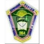 Шеврон Івано-Франківський коледж