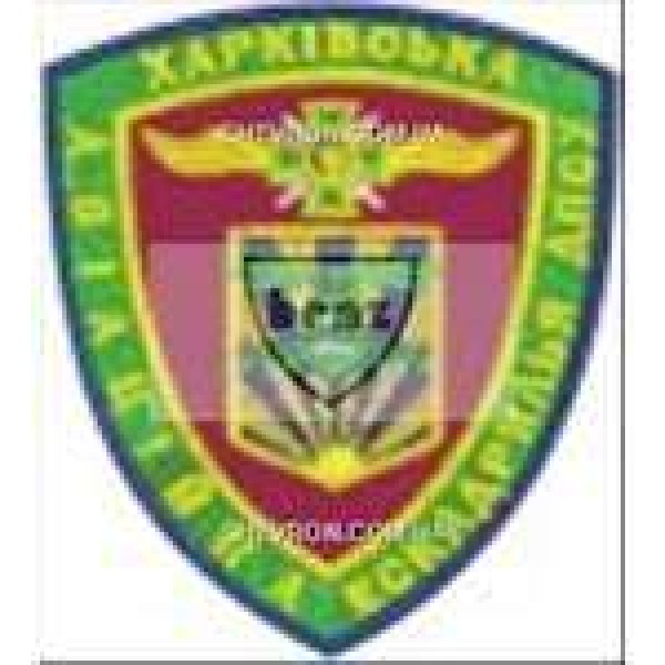 Шеврон Харківська авіаційна ескадрілья - 3442512