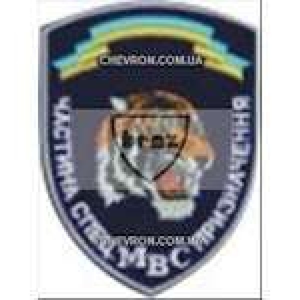 Шеврон Частина спец призначення ТигрДМБ - 3442530