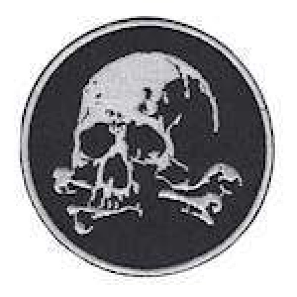 Шеврон Череп - 3442536