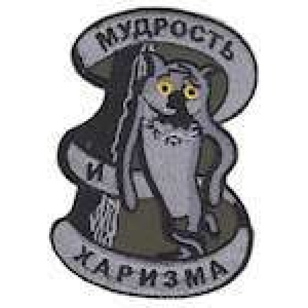 Шеврон Мудрість харизма - 3442577